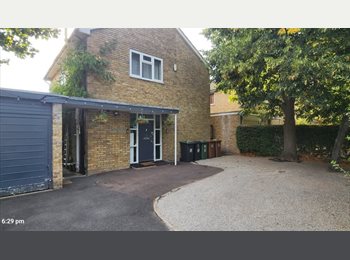 Roomgo UK - Double room for single or couples sharing a 3 bed garden house with 1 person only, Blackheath - £1,300 pcm