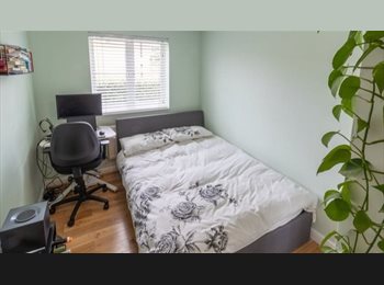 Roomgo UK - Double Room + Own Bathroom | 2-Person Flat, Camberwell - £1,000 pcm