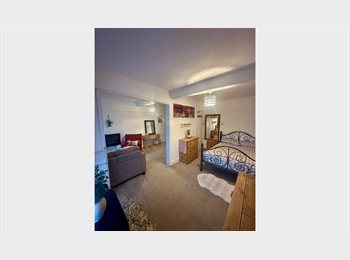 Roomgo UK - Spacious Room in a Lovely Shared Property, Bitterne Village - £695 pcm