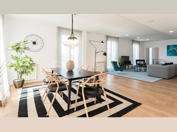 Roomgo UK - This spectacular, bright and quiet Flat, Hoxton - £500 pcm