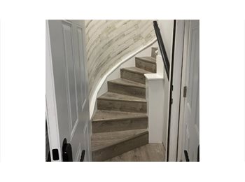 Roomgo US - North Mount Street ($650) Shared Bath, Poppleton - $650 pm