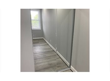 Roomgo US - Poplar Grove Street ($600) Shared Bath, Rosemont - $600 pm