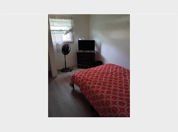 Roomgo US - Room for rent, Northeastwood - $500 pm