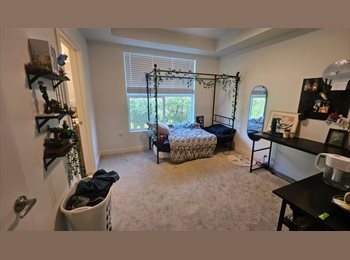 Roomgo US - Master bedroom in spacious apartment near river, Ogden - $814 pm
