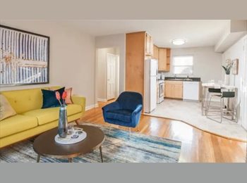 Roomgo US - Bright and sun-filled top-, Lanier Heights - $1,400 pm