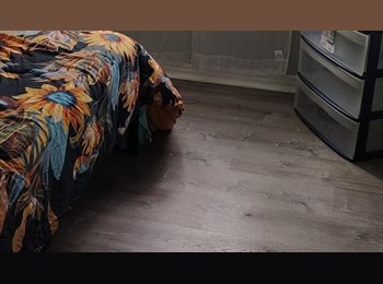Roomgo US - Room for rent, Ortega Hills - $700 pm