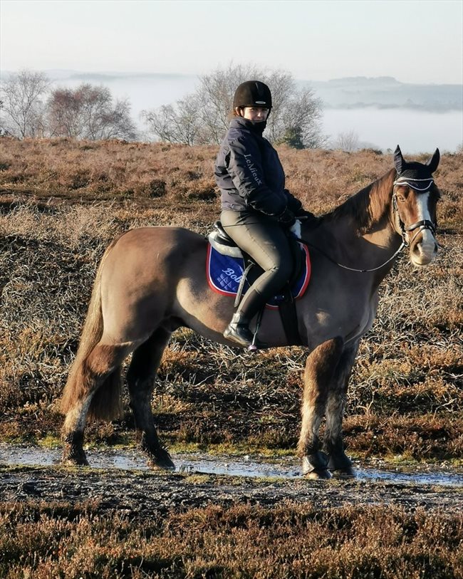 Looking for a room to rent in Bournemouth Jessica 26