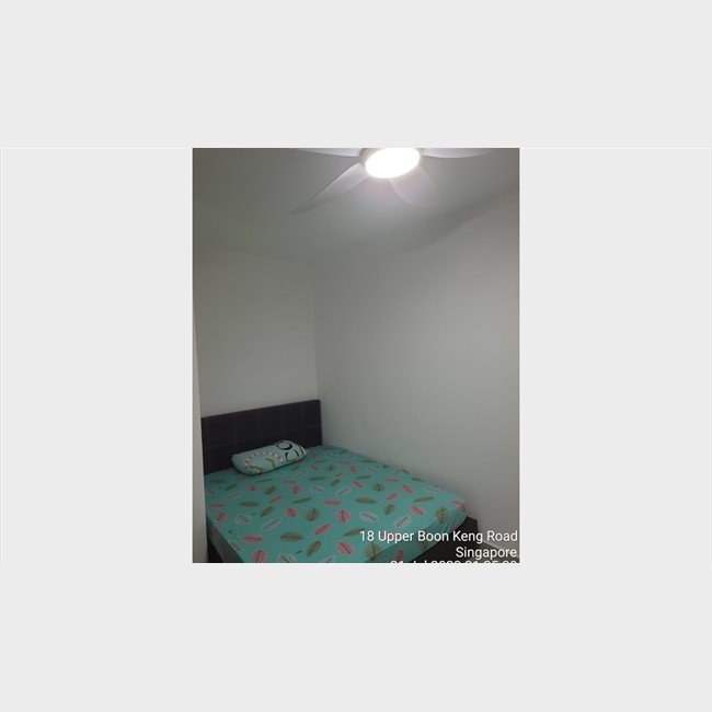 Room for rent in Upper Boon Keng Rd, Kallang - Common room in Kallang ...